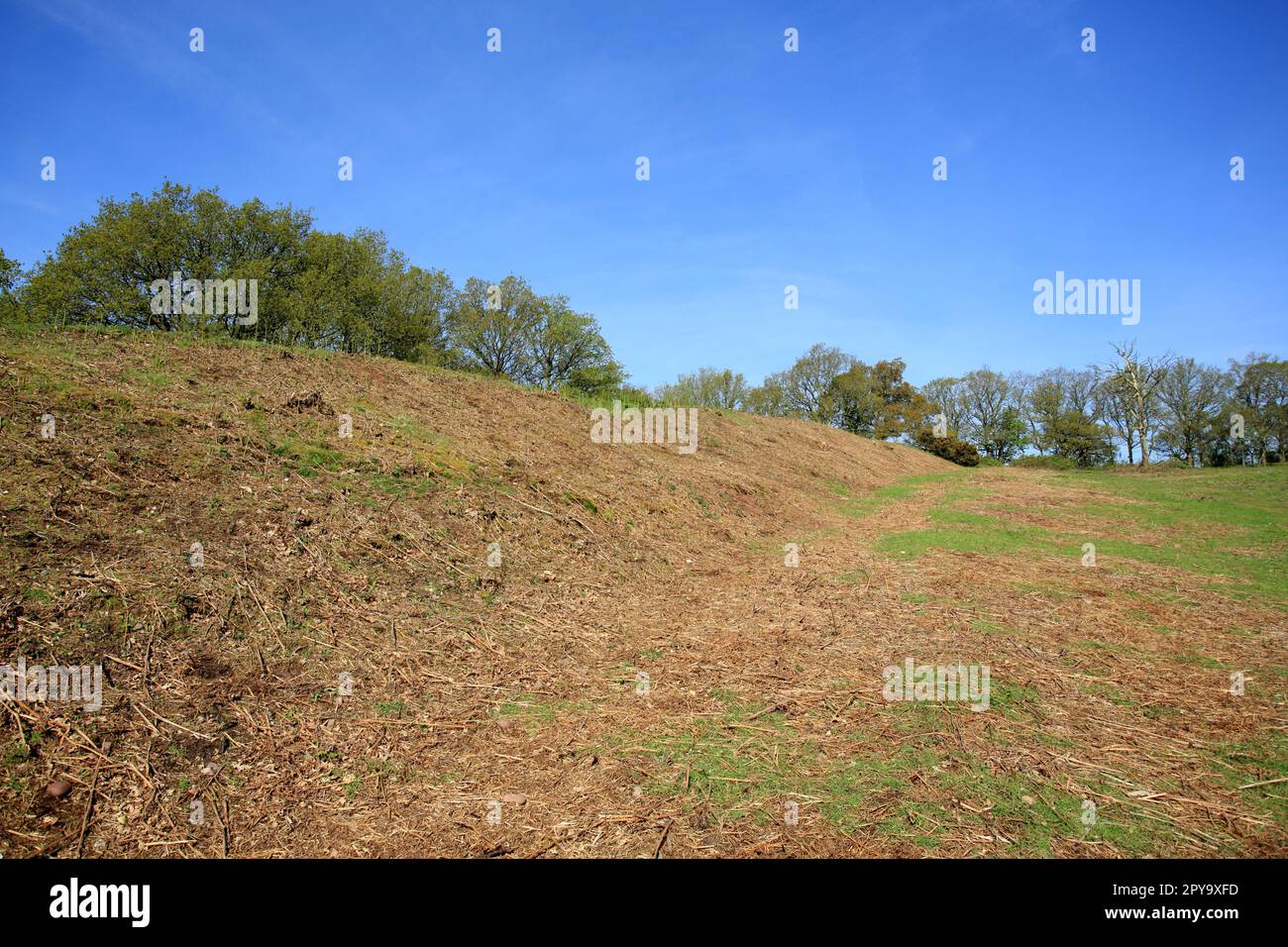 Kinver edge iron age hillfort ramparts and ditch. Stock Photo