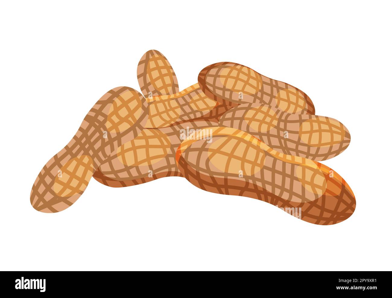 Peanut. Peanut bean isolated. nuts.vector illustration isolated on white background Stock Photo