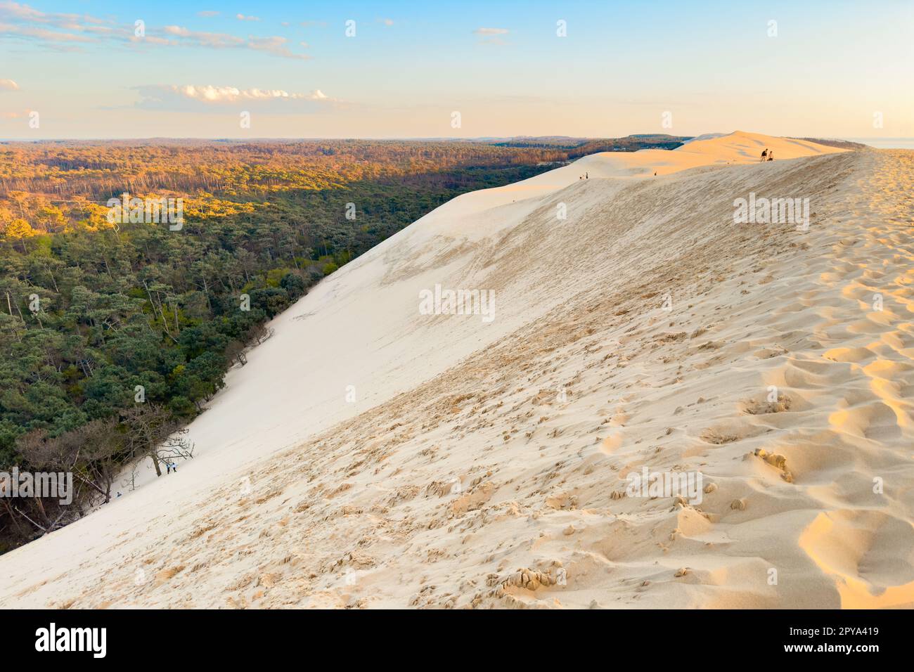 Dune du Pilat, the biggest sand dune in Europe, France. High quality photography. Stock Photo