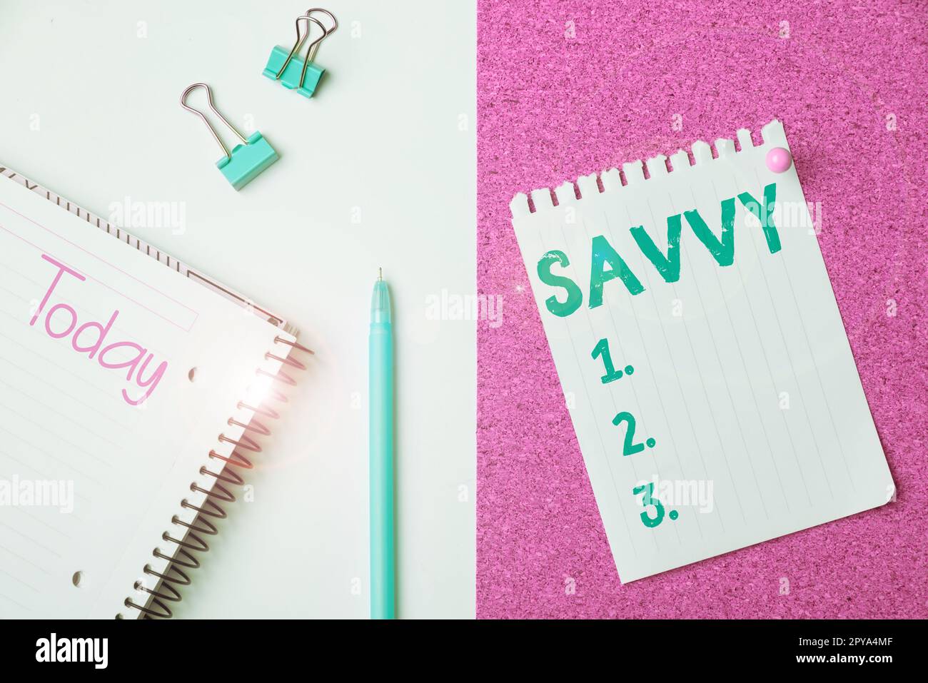 Writing displaying text Savvy. Business approach having perception, comprehension in practical matters Stock Photo