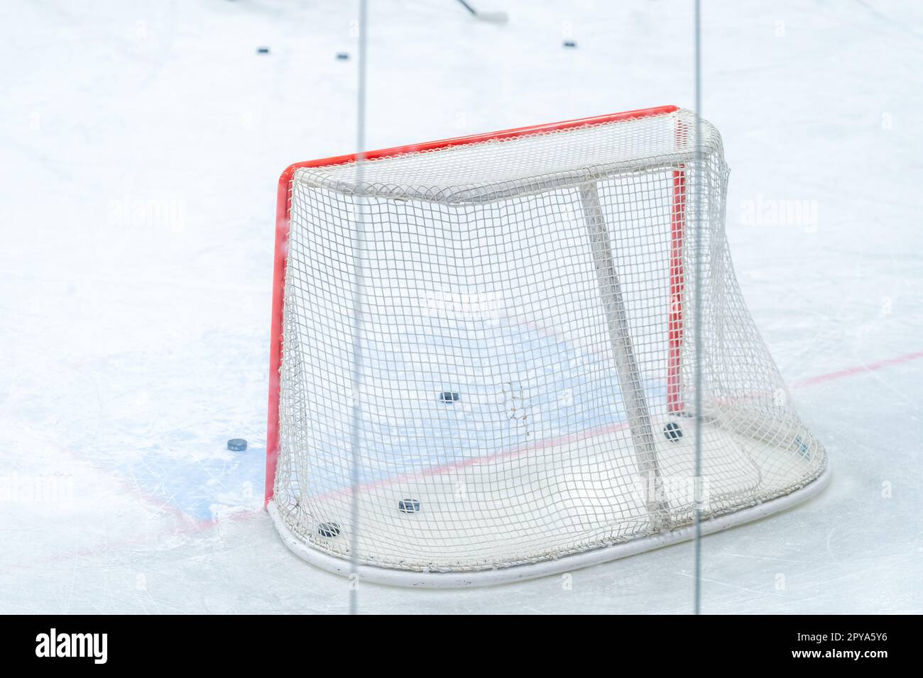 ice hockey goal with pucks, during a hockey players training session Stock Photo