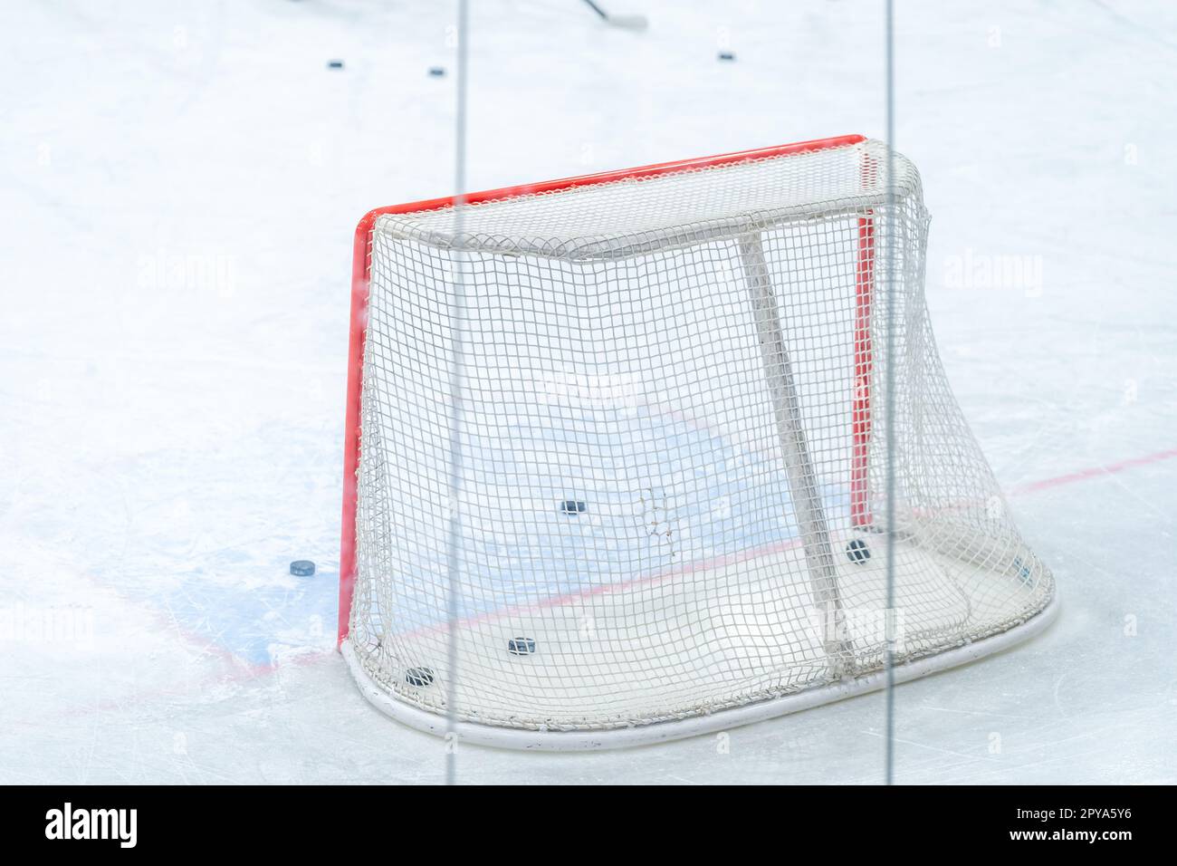 ice hockey goal with pucks, during a hockey players training session