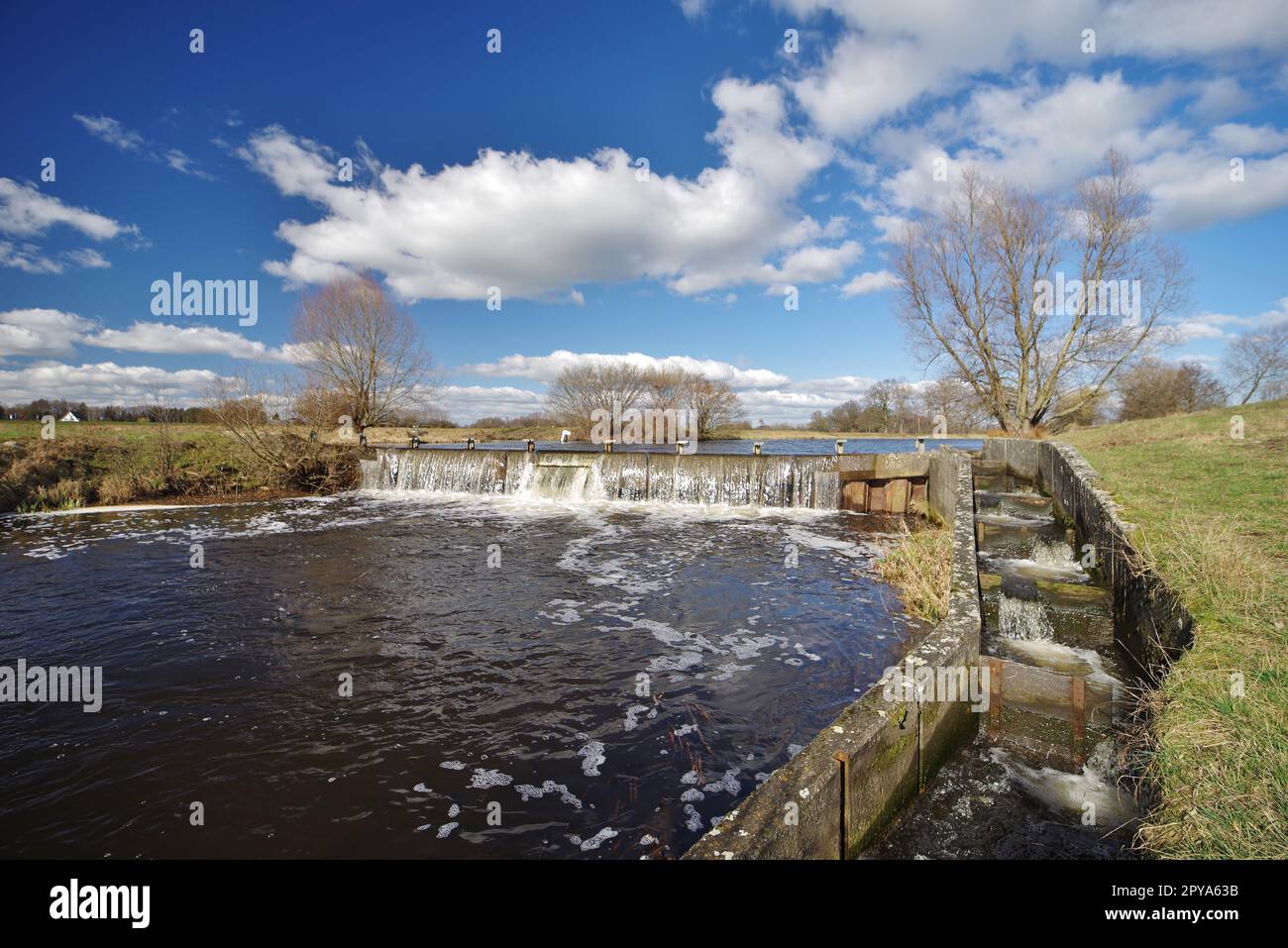 Biotope 'Steinhorster Becken', rainwater retention basin, Nature Conservation Area and Bird Reserve, Steinhorst, DelbrÃ¼ck, district of Paderborn, North Rhine-Westphalia, Germany Stock Photo