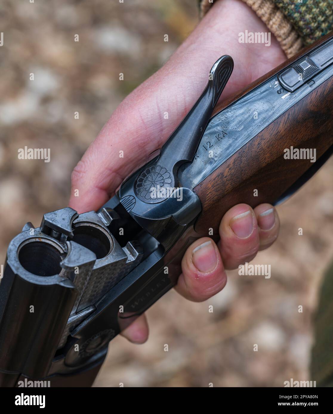 A close-up of a woman’s hand holding an open shotgun Stock Photo