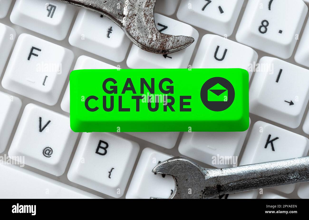 Writing displaying text Gang Culture. Business approach particular ...