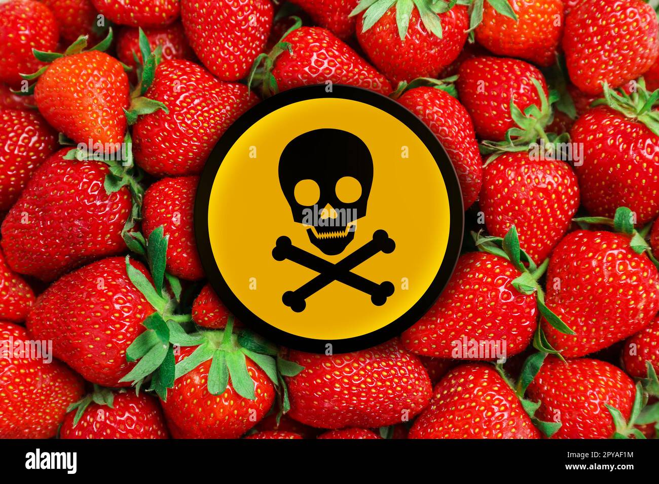 Skull and crossbones sign on ripe strawberries, closeup. Be careful - toxic Stock Photo
