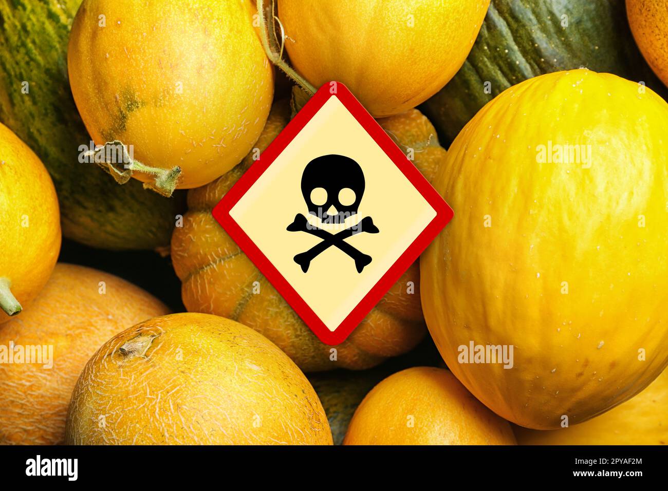 Skull and crossbones sign on ripe melons, top view. Be careful - toxic ...