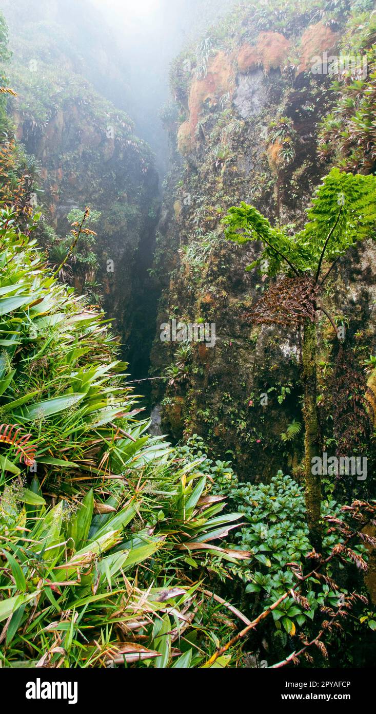 Soufriere volcano, Guadeloupe, West Indies Stock Photo Alamy