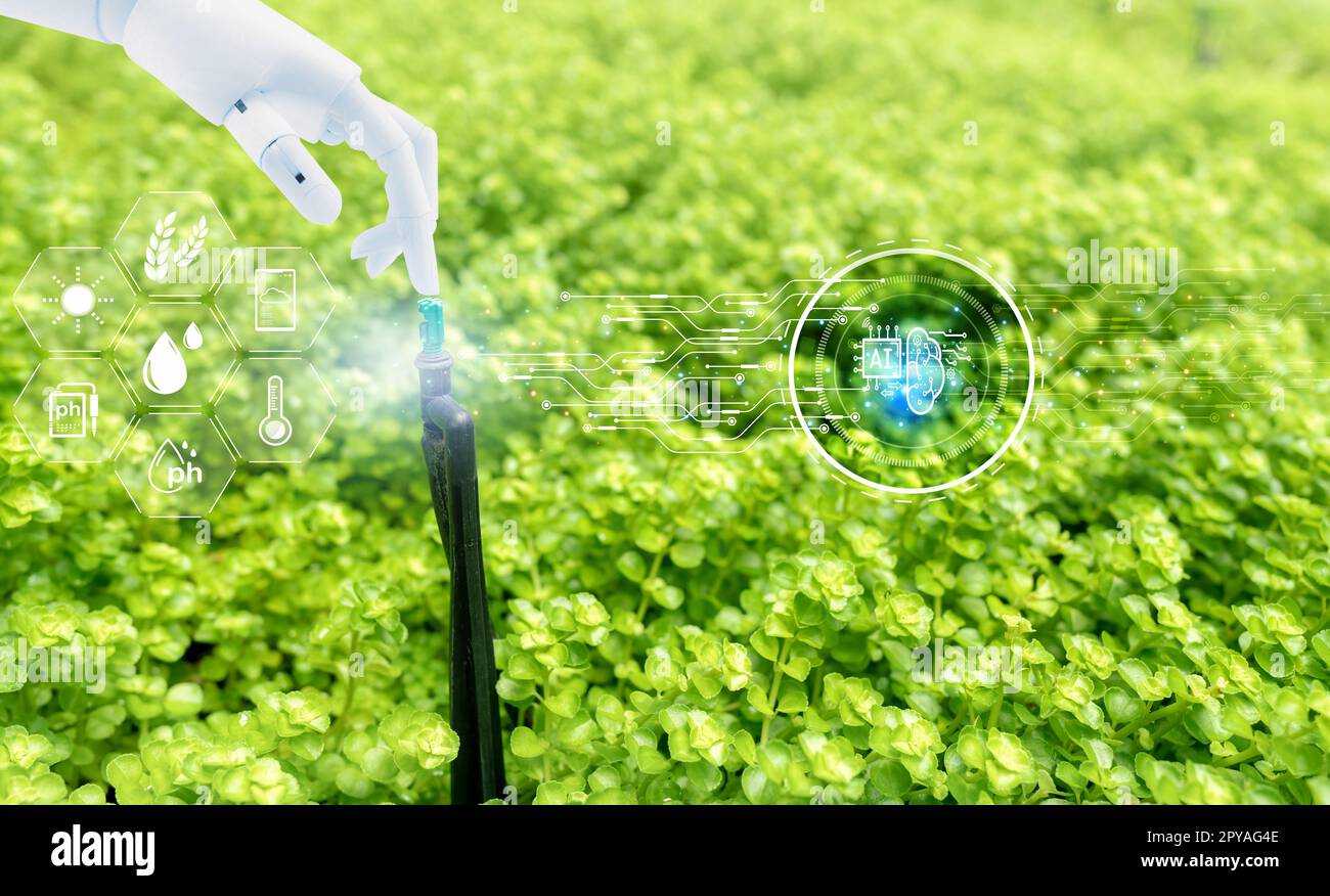 Robot hand touch automatic lawn sprinkler and icon of smart farming concept. Smart agriculture with modern technology concept. Sustainable agriculture. Precision agriculture. Climate monitoring. Stock Photo