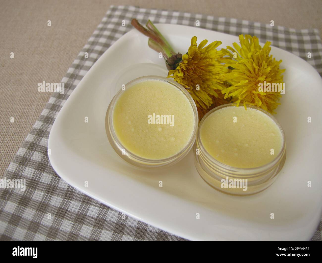 Homemade dandelion ointment, salve with an oil extract of dandelion flowers Stock Photo