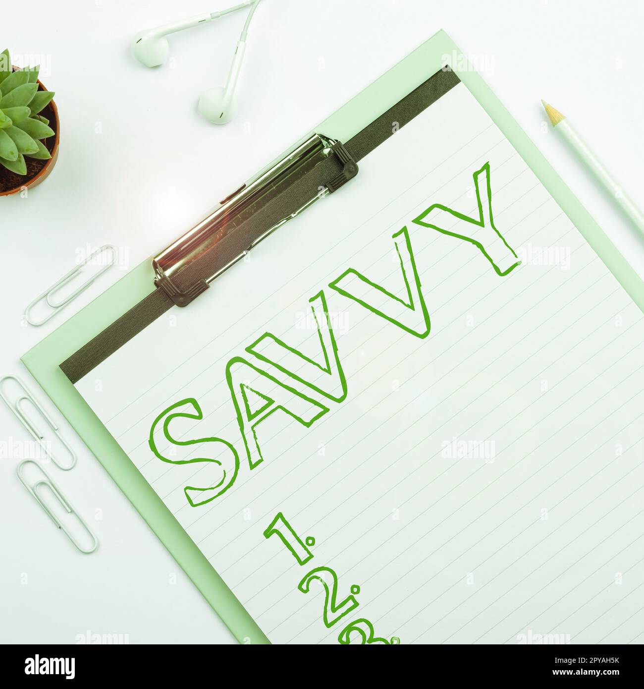 Text sign showing Savvy. Business showcase having perception, comprehension in practical matters Stock Photo
