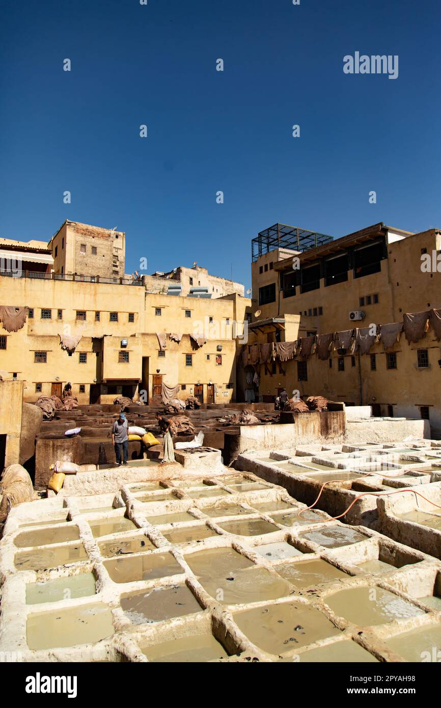Fez, Morocco 2022: unique view of the old and famous Chouara tannery in the medina, with color paint for leather, with men working in the water tanks Stock Photo