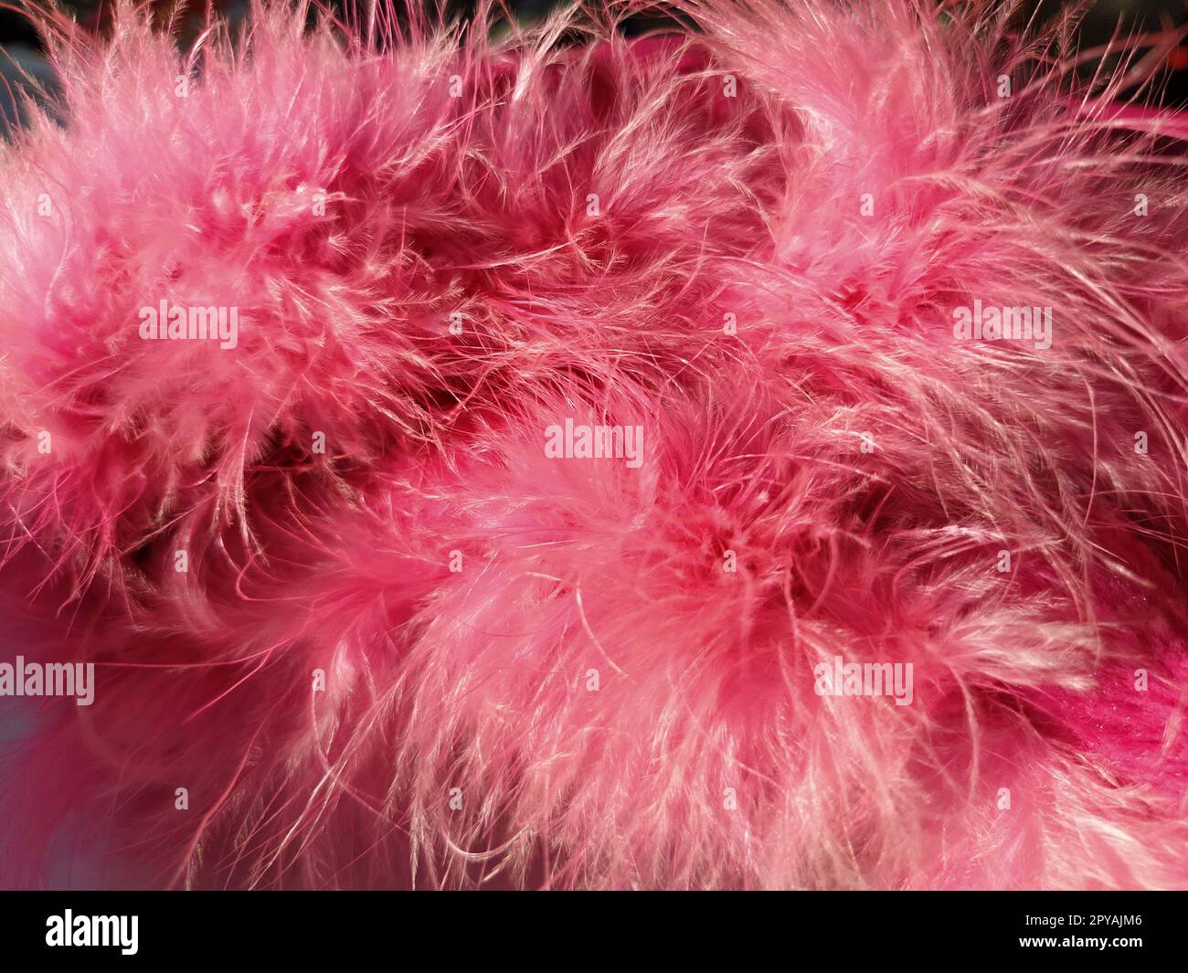 Pink faux fur or pink colored natural bird feathers close-up. Light feathers boa. Delicate texture. Greeting card Happy Valentines Day. Collar from a women's or girl's jacket. Bright pink or color. Stock Photo