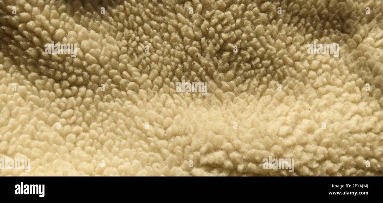 Sheepskin, sheep fur. The inner side of a coat or jacket, trimmed with natural or artificial sheep fur. Karakul as an element of winter outerwear Stock Photo