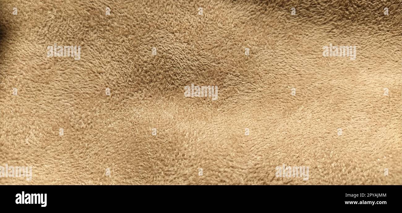 beige suede fabric. Close-up of a faux suede or nubuck fabric. Sewing accessories and fabrics. Short pile texture Stock Photo
