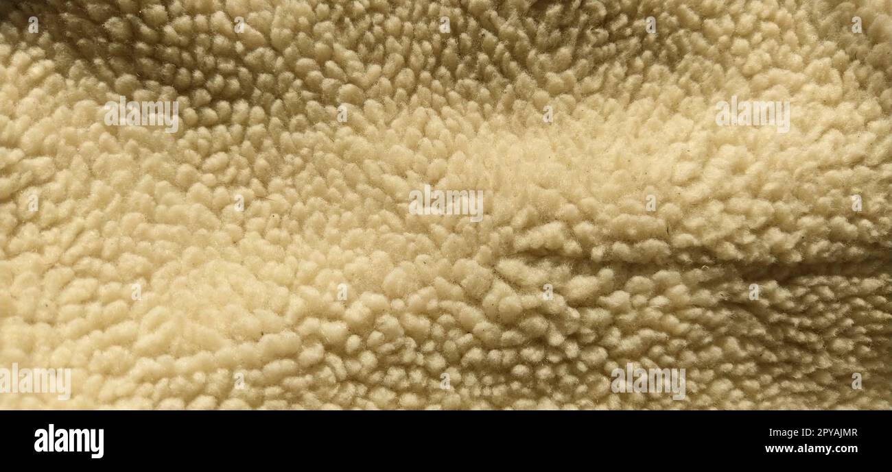 Sheepskin, sheep fur. The inner side of a coat or jacket, trimmed with natural or artificial sheep fur. Karakul as an element of winter outerwear. Stock Photo