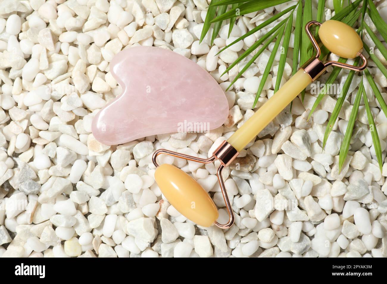 Quartz gua sha tool, face roller and green leaves on white stones, flat lay Stock Photo