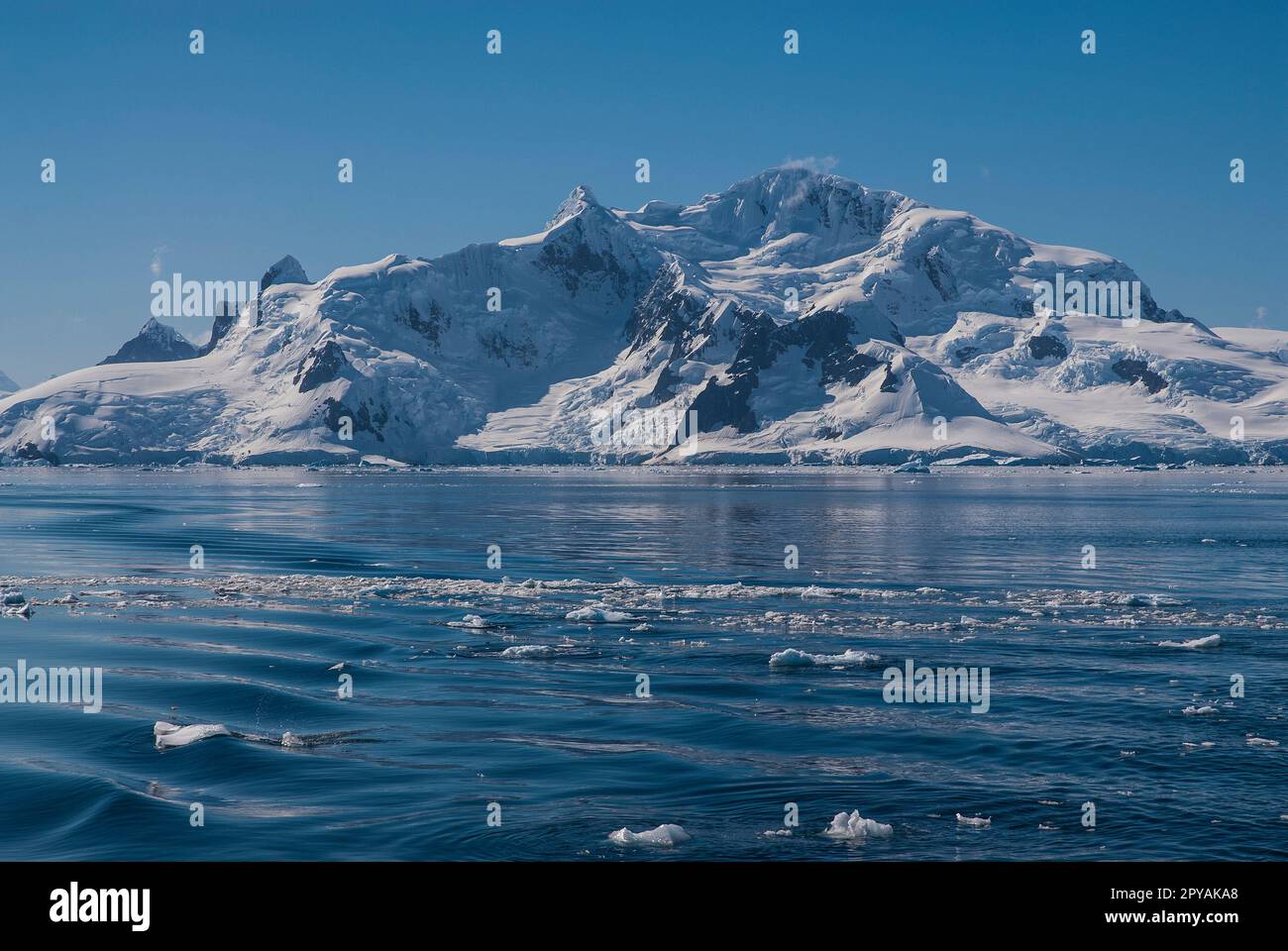 Antarctic Base, Argentine Antarctic Base, Peninsula Antartica Stock