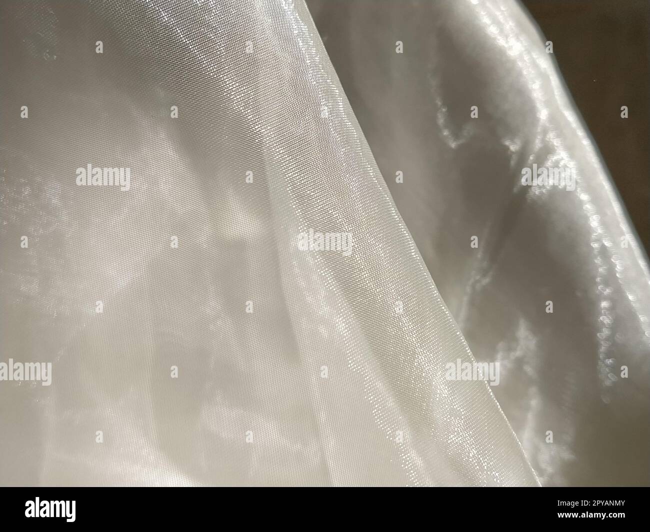Organza in white and beige or champagne color close-up. Lightweight sheer tulle curtains under side lighting Stock Photo