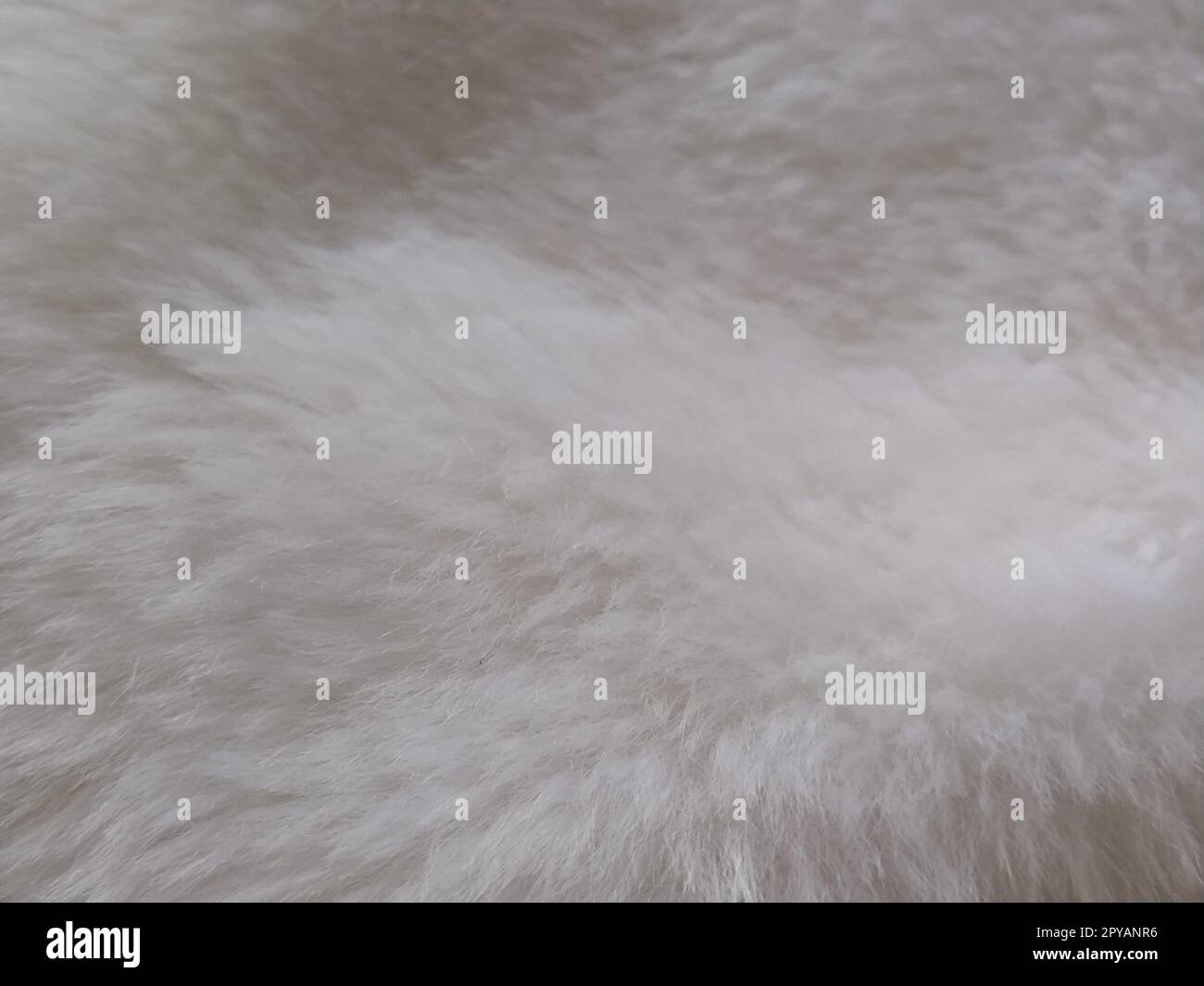 White faux fur coat hi-res stock photography and images - Alamy