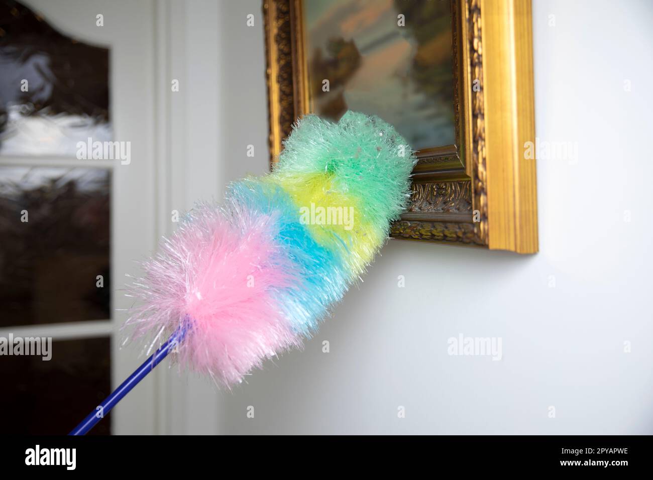 Colorful feather duster wiping the dust from oil painting in modern