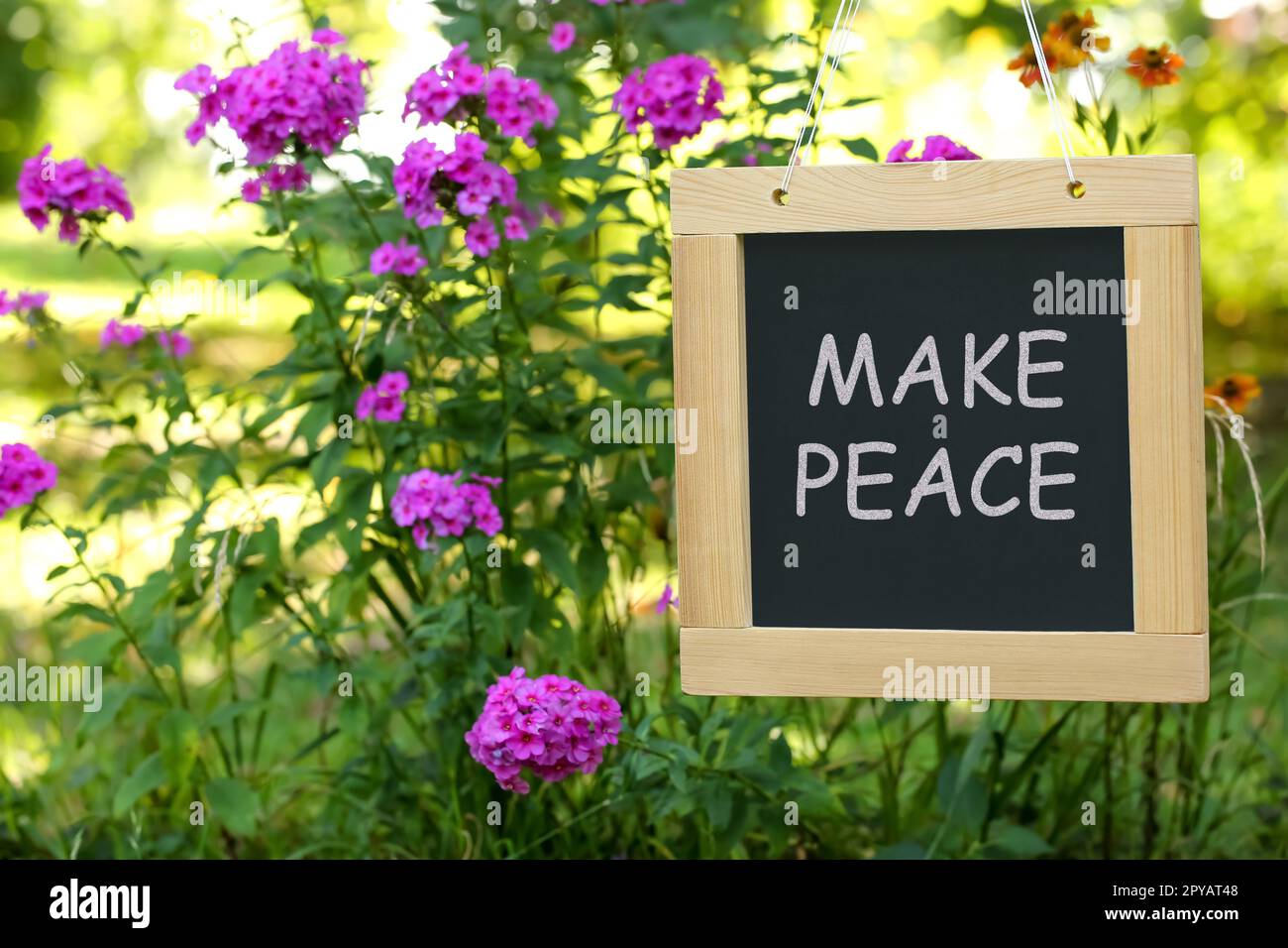 Chalkboard with phrase Make Peace near phlox flowers outdoors Stock Photo