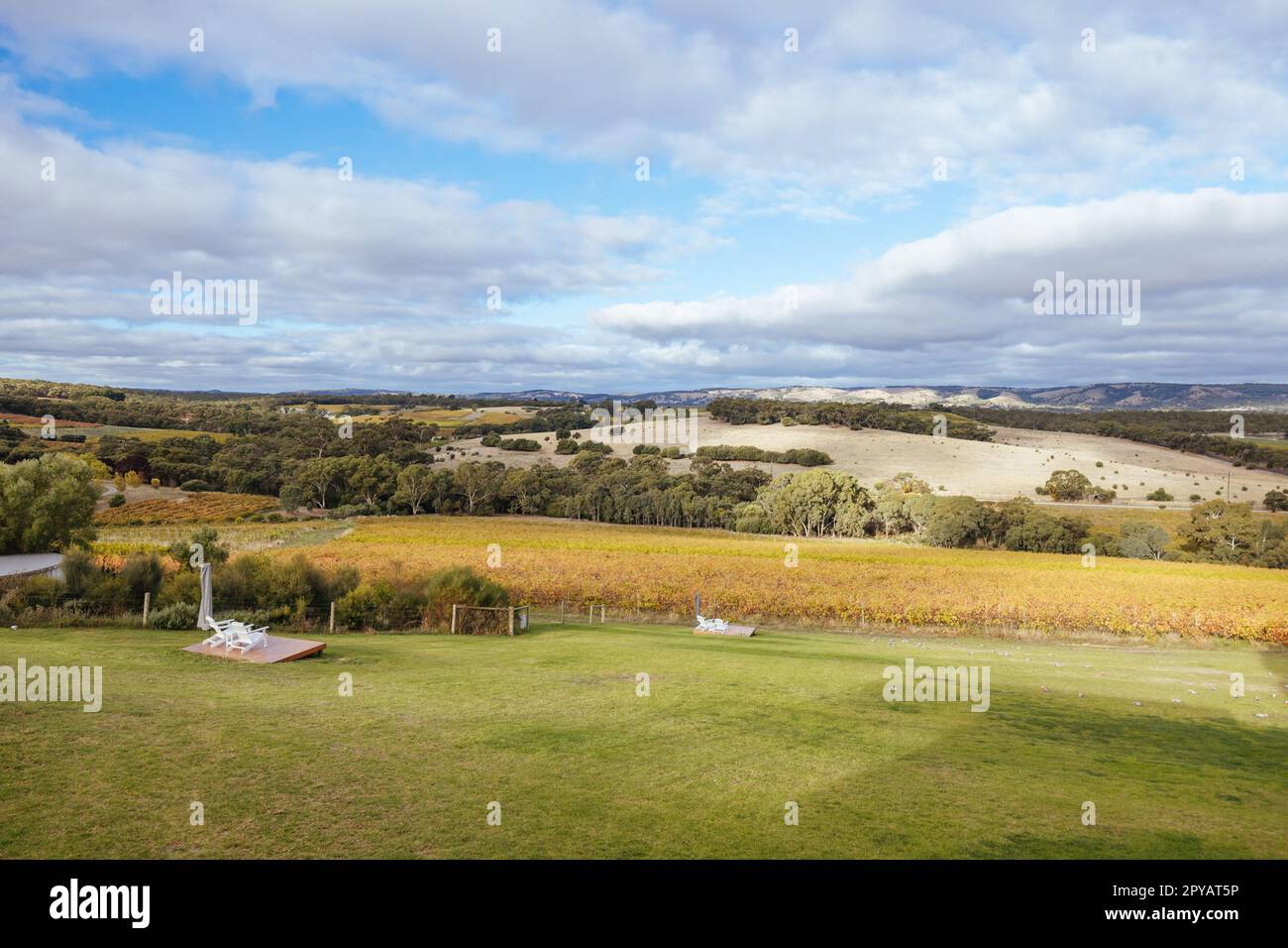 Kay Brothers Winery in Mclaren Vale Australia Stock Photo Alamy