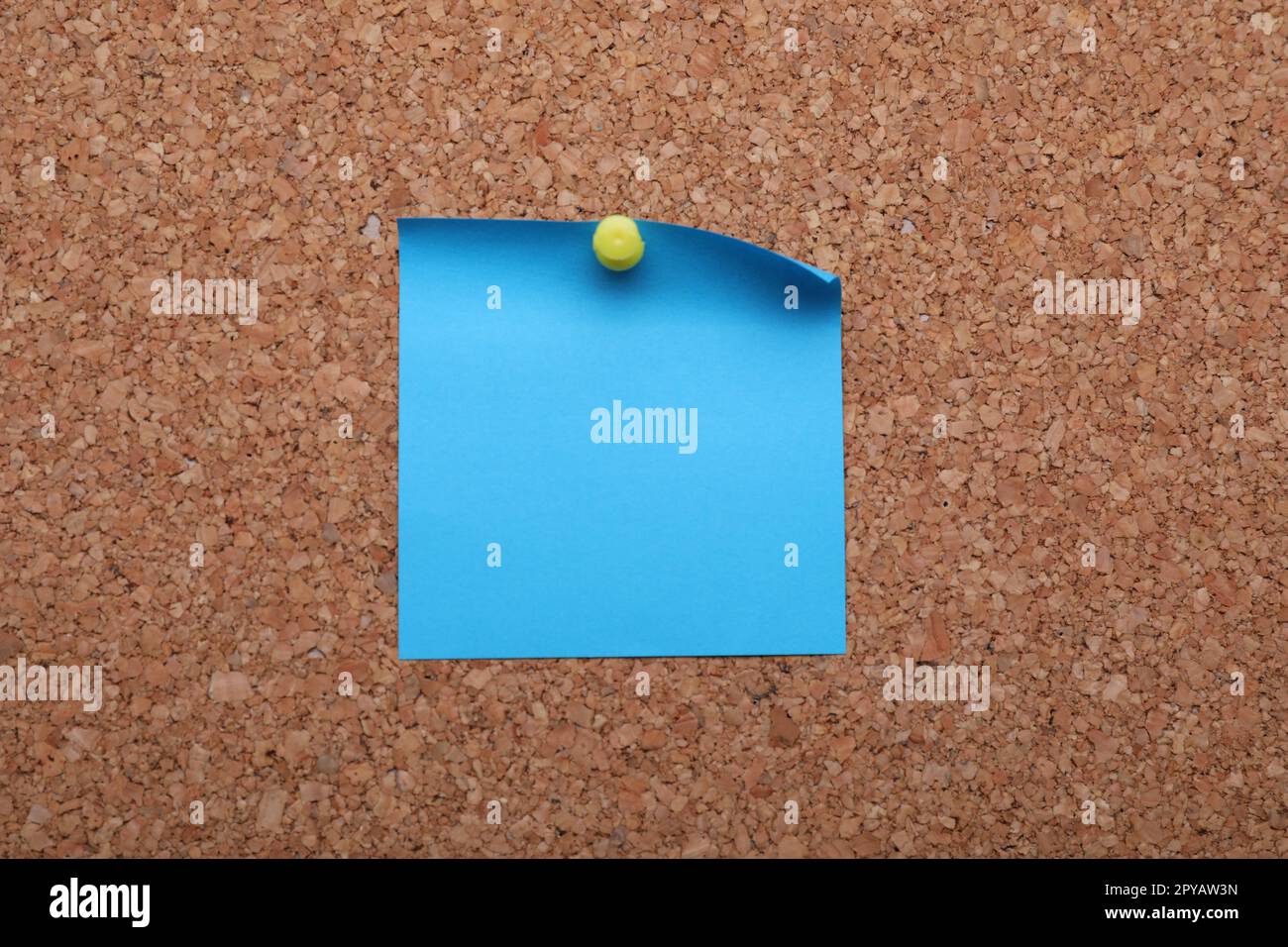 Blank paper note pinned to cork background, closeup Stock Photo