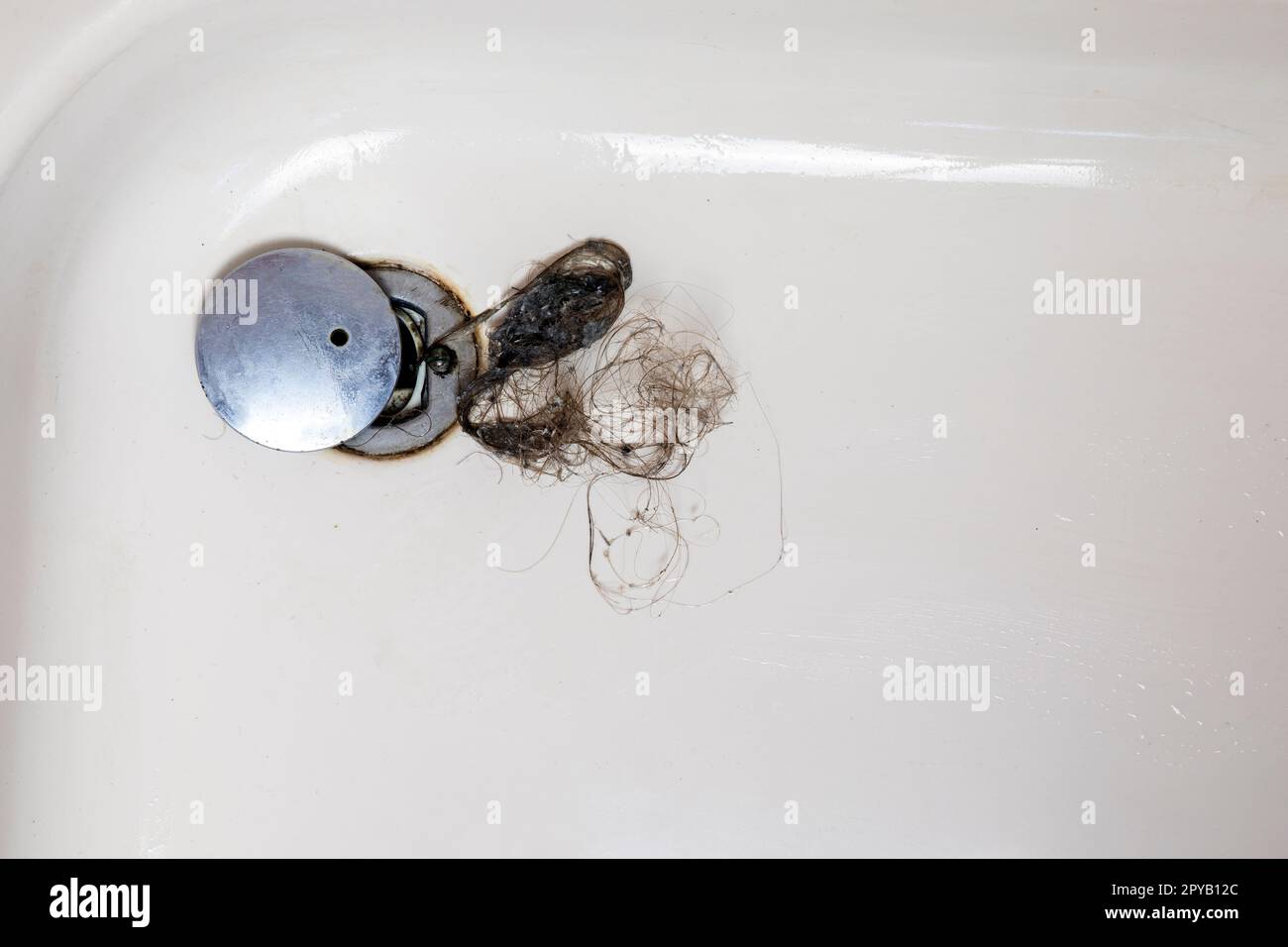 Shower drain is clogged with hair, Hair pile loss in a bathroom after wash hair in shower