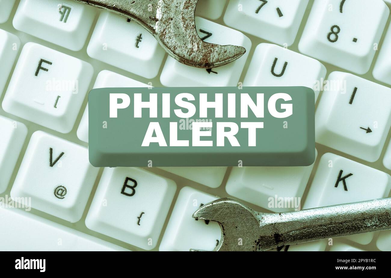 Conceptual display Phishing Alert. Word for aware to fraudulent attempt to obtain sensitive information Stock Photo