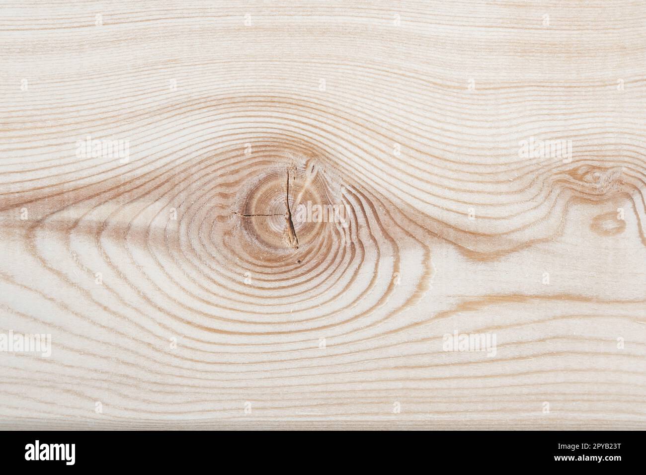 Background texture. Surface of a larch edged board with knot on cut. Wood texture. Top view. Copy space. Stock Photo