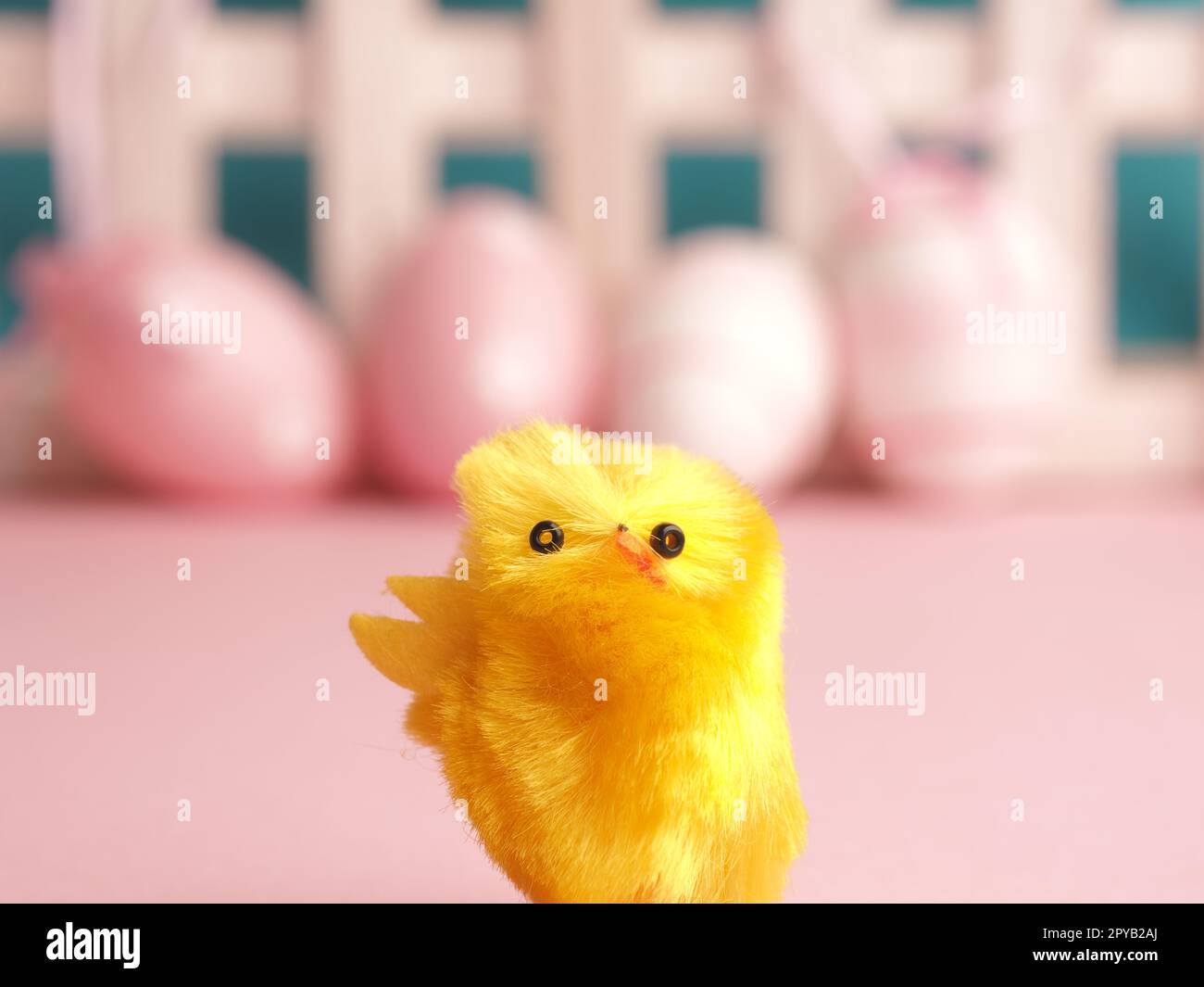 Cute chick with Easter eggs background Stock Photo