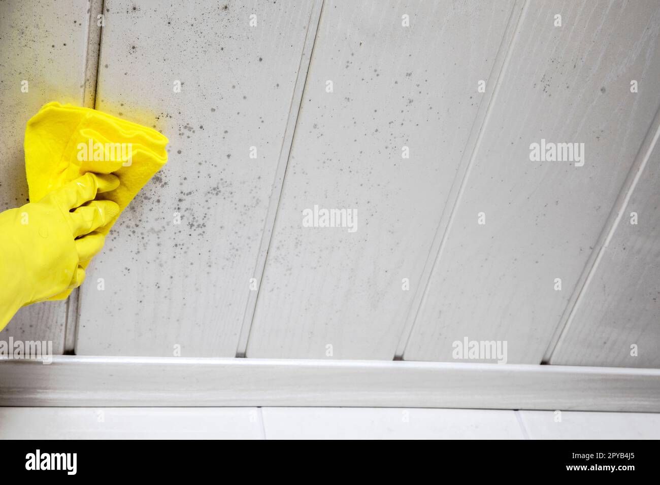 Housekeeper's or Female Hand With yellow Glove Cleaning Mold From ceiling with Sponge Stock Photo