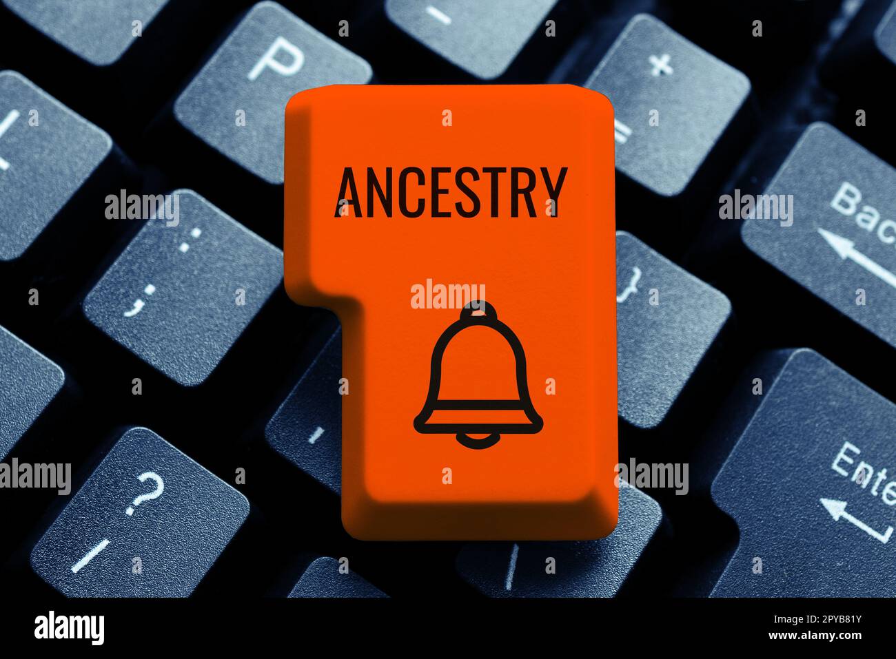 Text caption presenting Ancestry. Business overview the history or developmental process of a phenomenon object idea or style Stock Photo