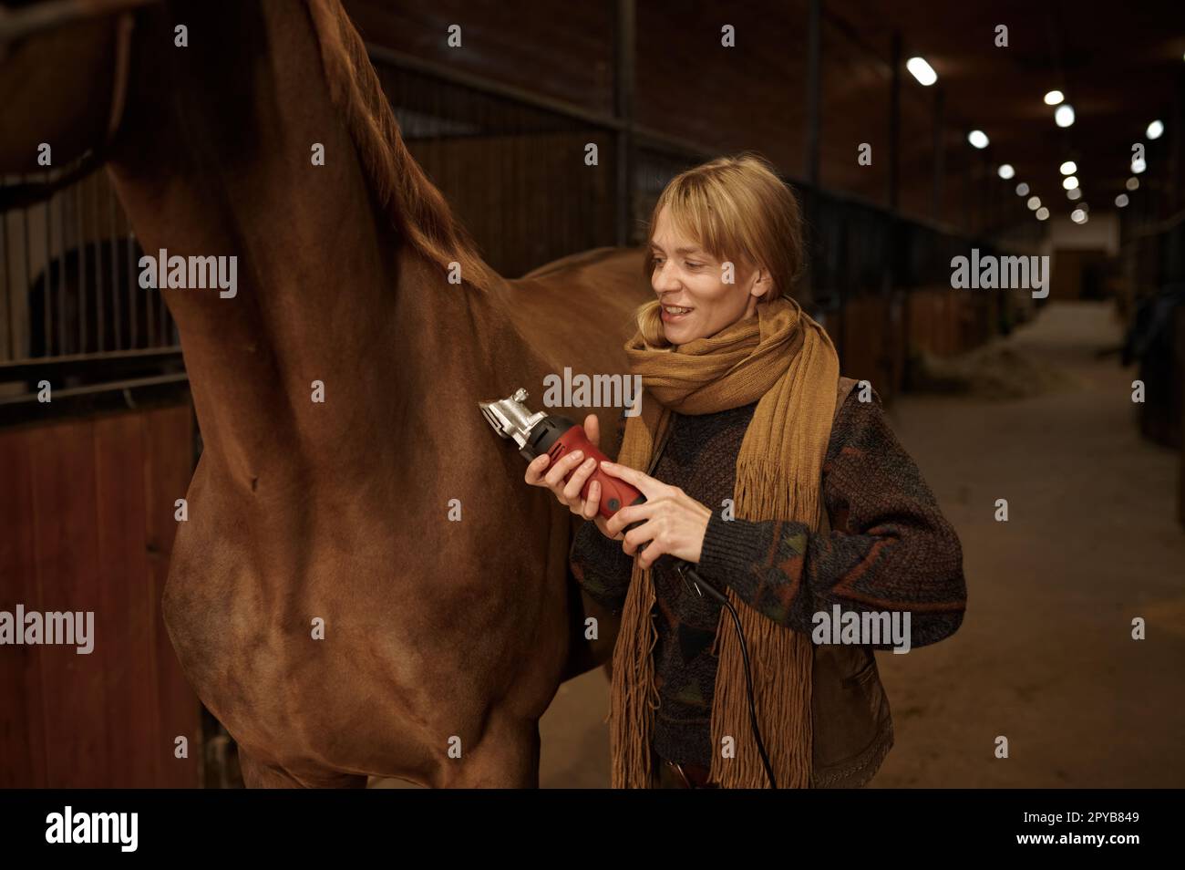 Veterinary horse hires stock photography and images Alamy