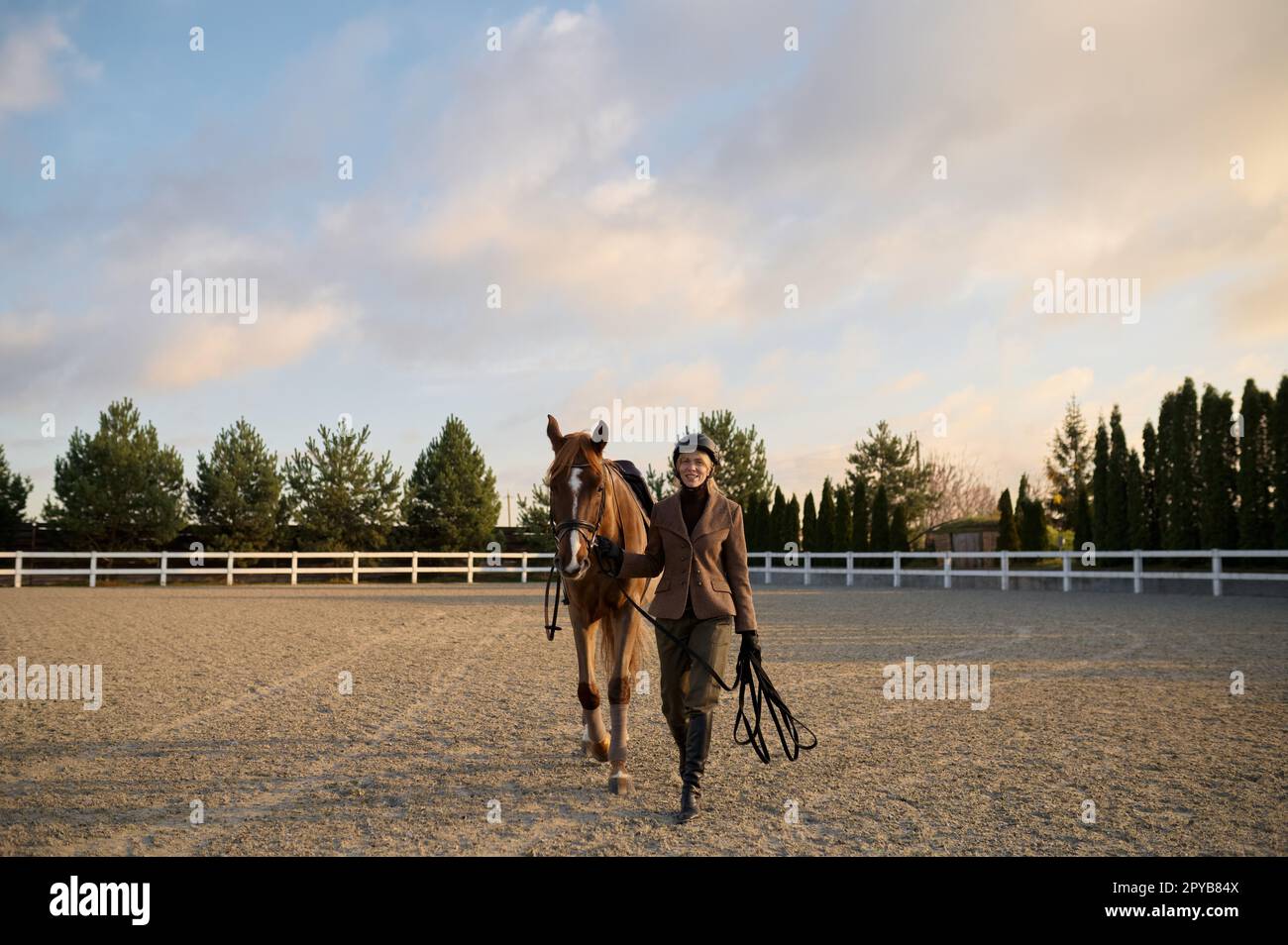 Woman rider walking horse side by side holding harness saddle-girth Stock Photo