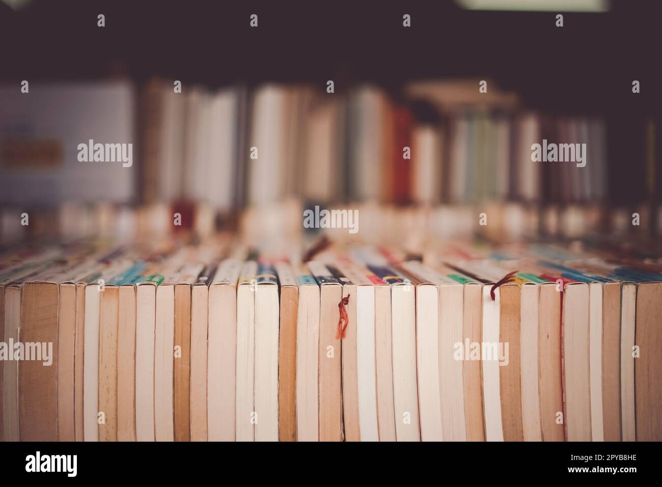 Shelf with many old books Stock Photo