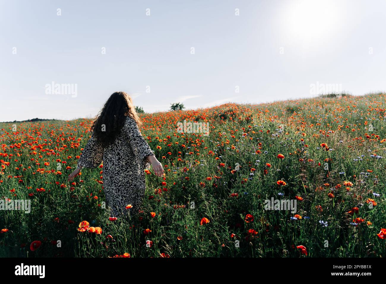 A long-haired woman in a dress stands with her arms spread to the sides among a poppy field Stock Photo