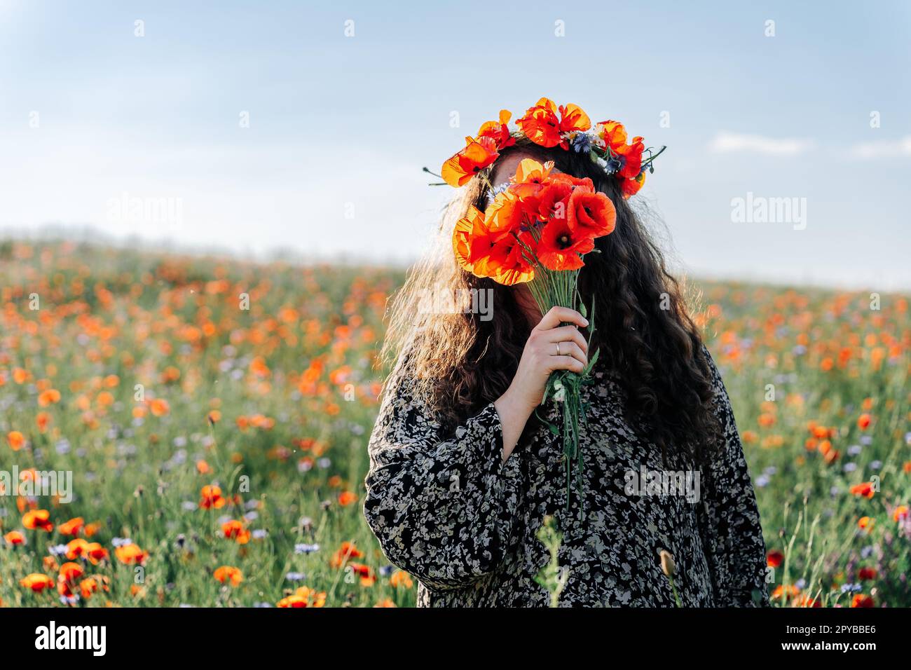 Long-haired curly woman plus size in a wreath of red poppies stands among a field of meadow flowers and covers her face with a bouquet of poppies Stock Photo