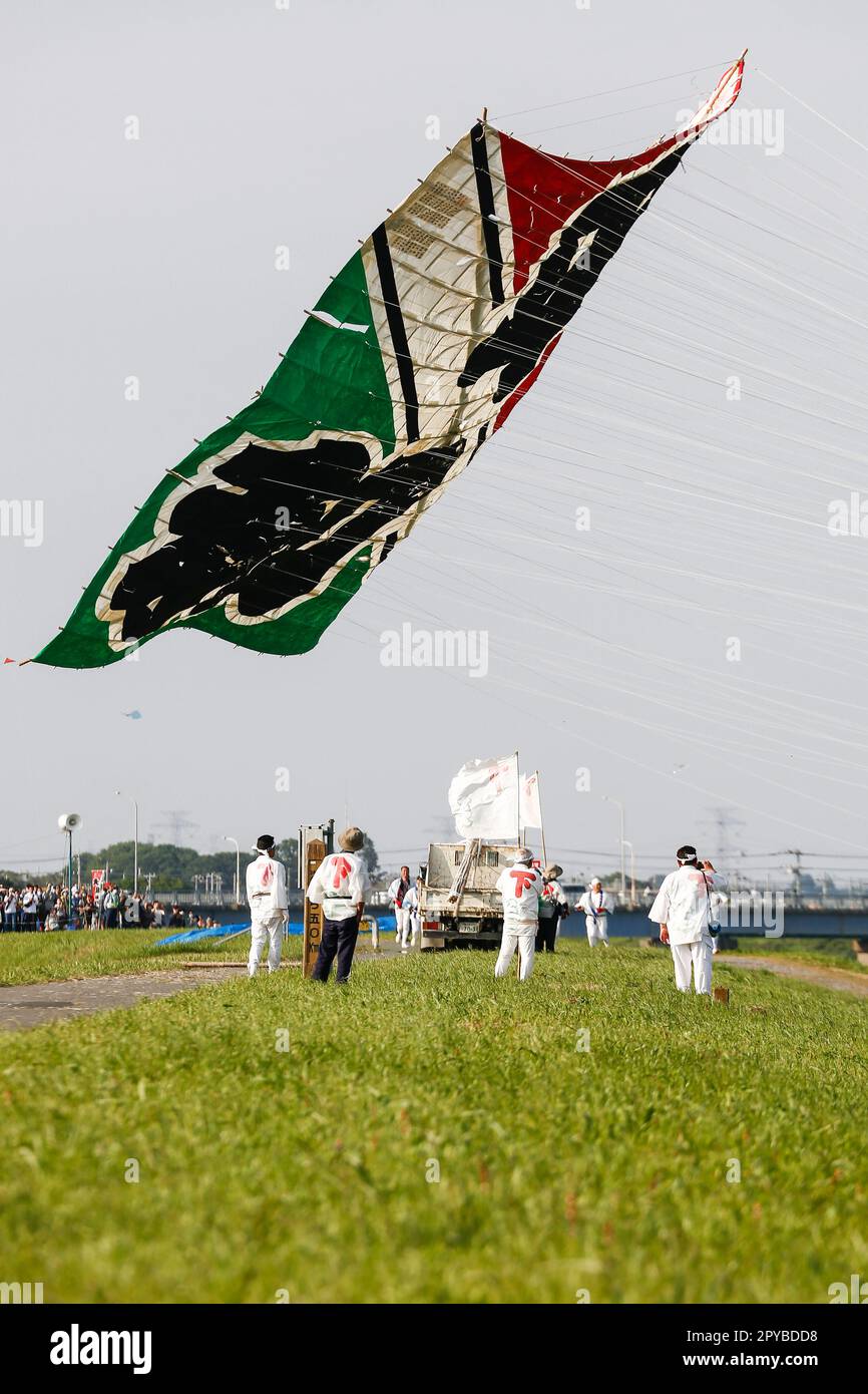 May 3, 2023, Saitama, Japan A giant kite soars during the Giant Kite