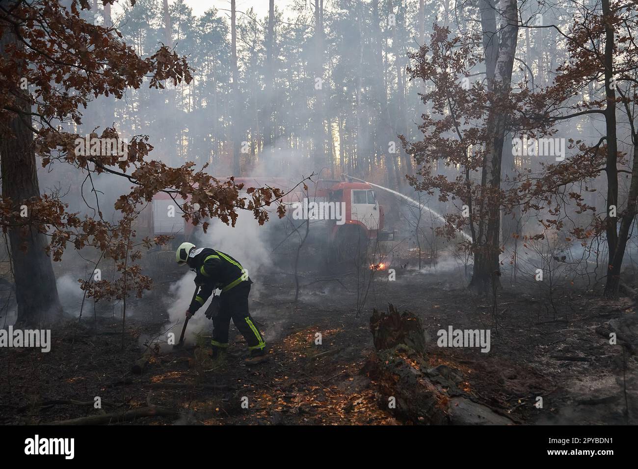 Smoke forest and fireman after forest fire silhouette Stock Photo - Alamy