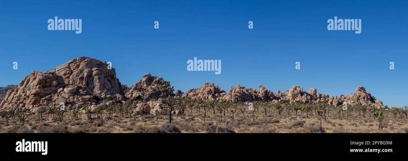 Joshua Tree NP, California, USA - December 1, 2021: Rock formations ...