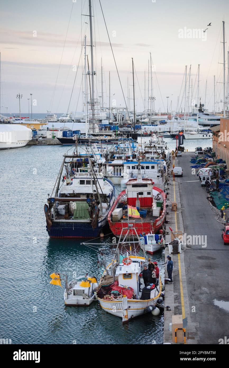 fishing boat in Moll de la Riba, Palma, mallorca, balearic islands, spain, europe Stock Photo