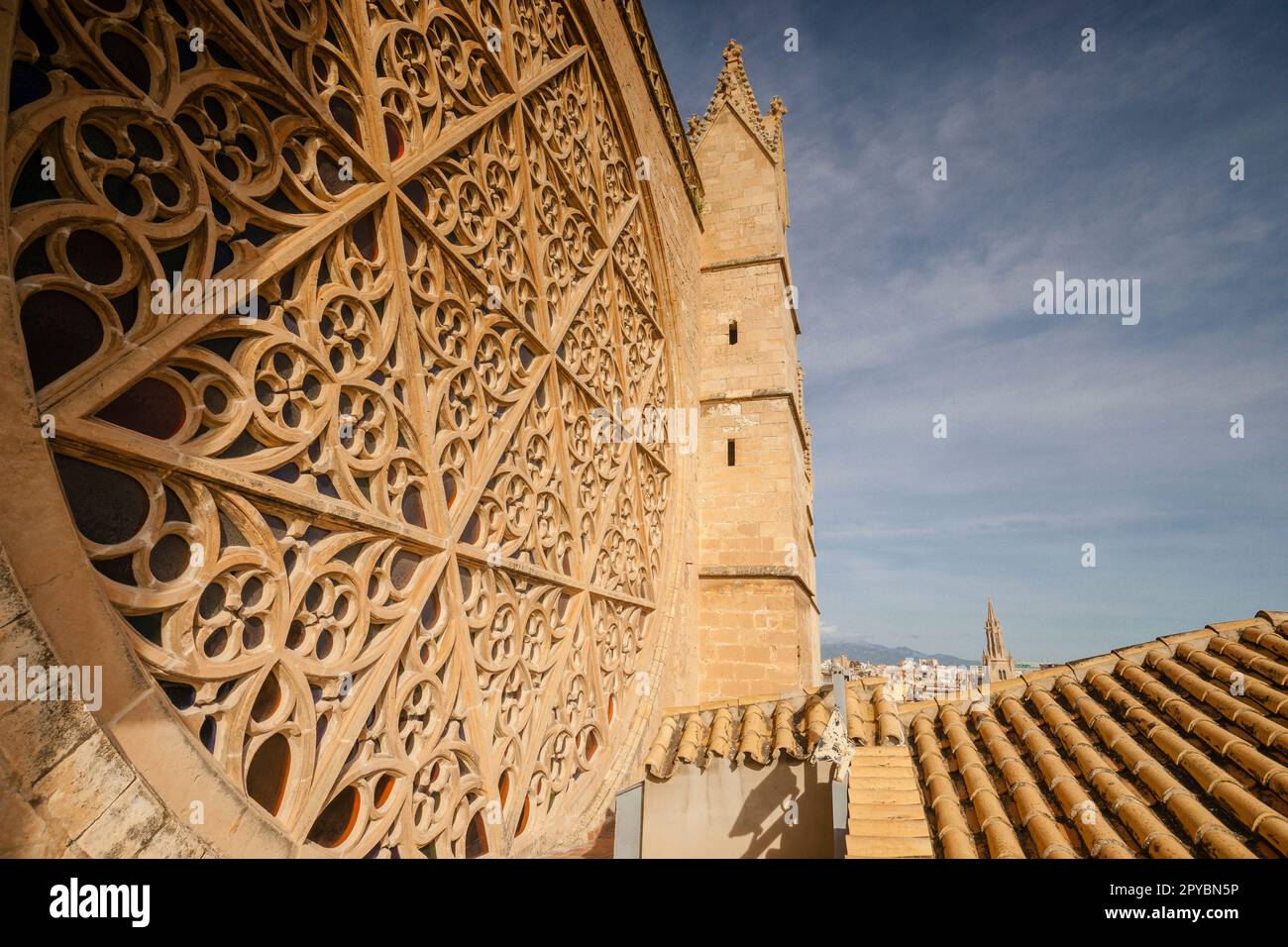 roseton mayor, Cathedral of Mallorca , 13th century, Historic-artistic monument, Palma, mallorca, balearic islands, spain, europe Stock Photo