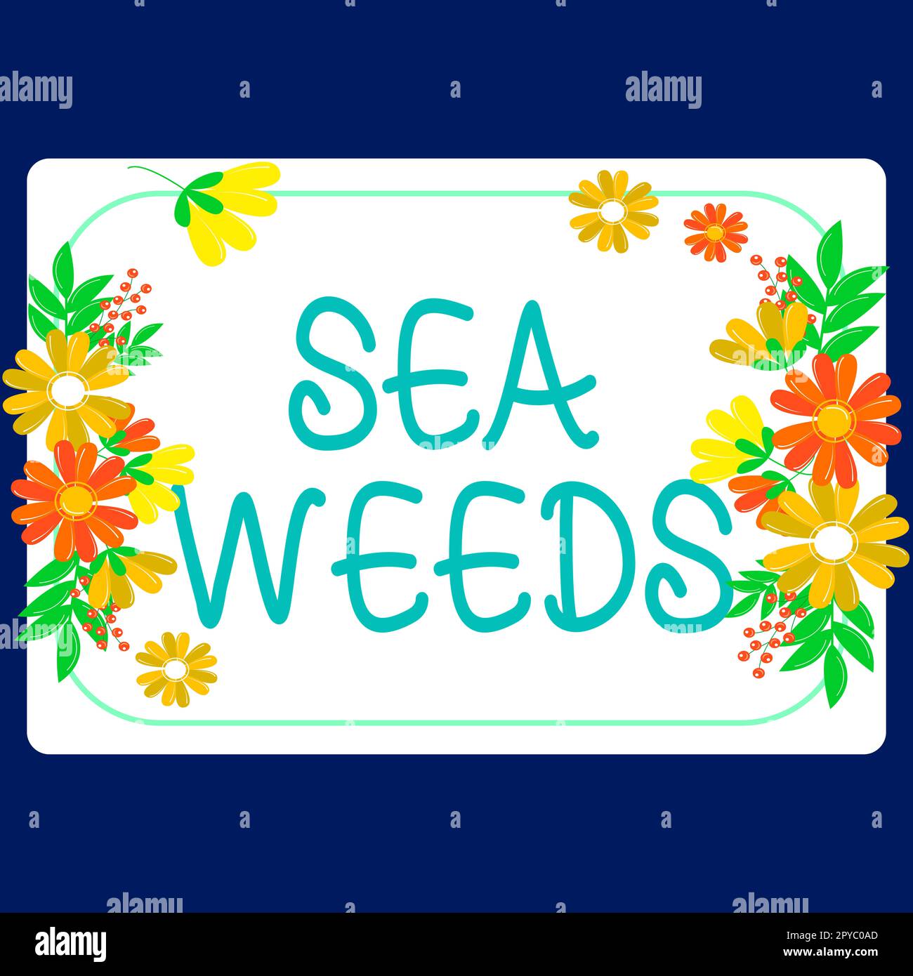 Conceptual caption Sea Weeds. Word for Large algae growing in the sea or ocean Marine plants flora Stock Photo