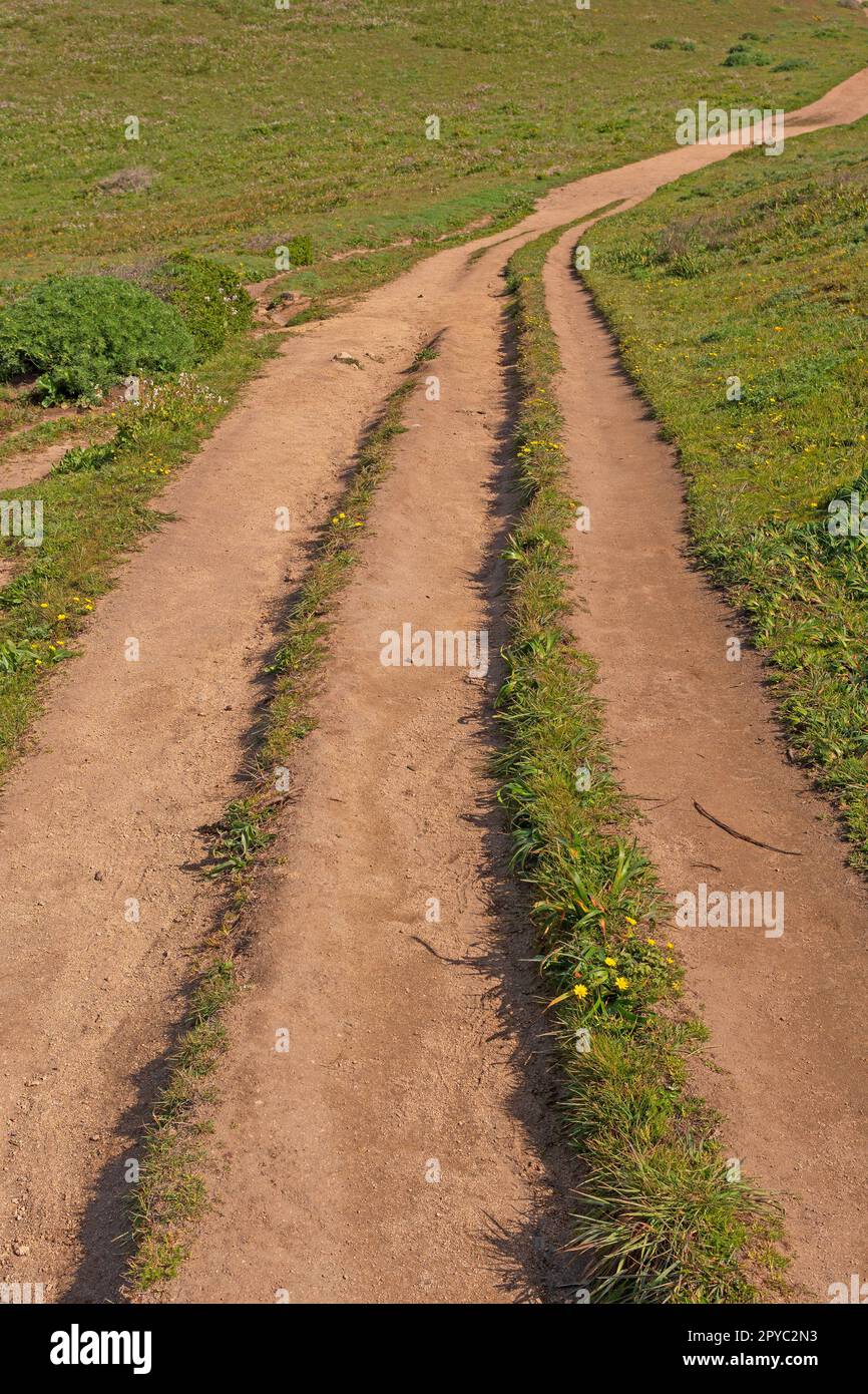 Lonely Track on a Coastal Ridge Stock Photo