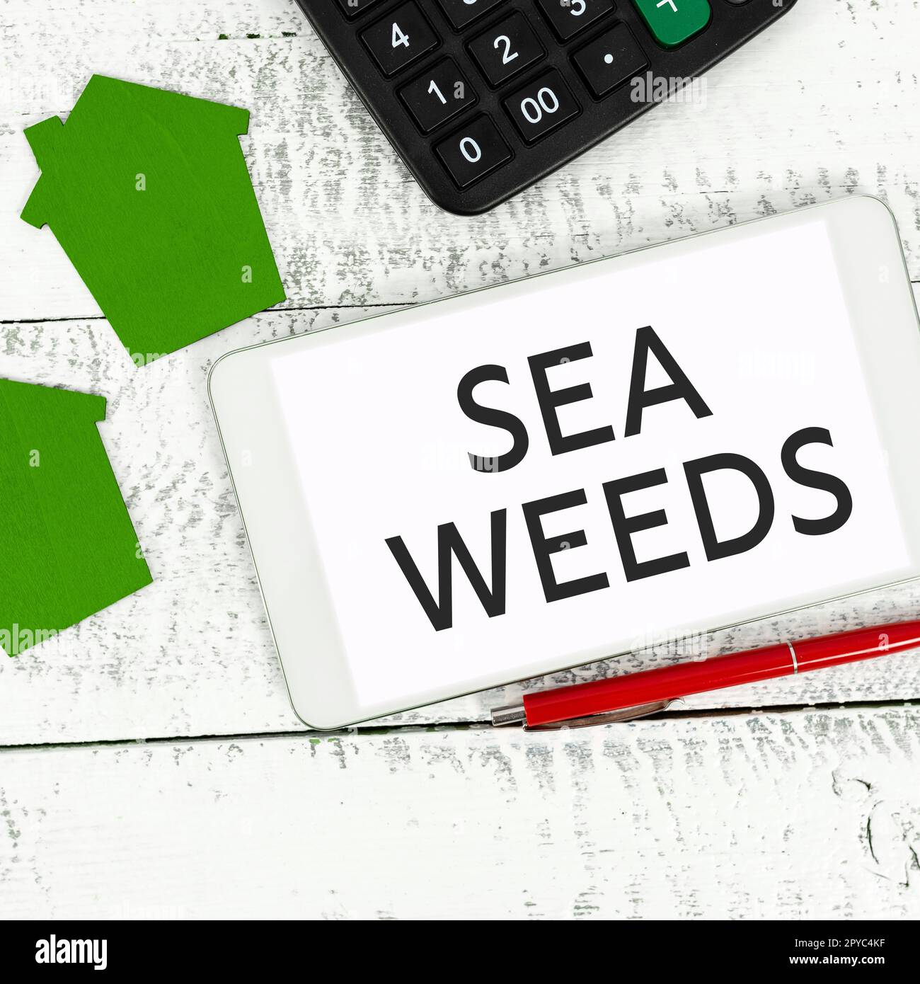 Inspiration showing sign Sea Weeds. Word for Large algae growing in the sea or ocean Marine plants flora Stock Photo