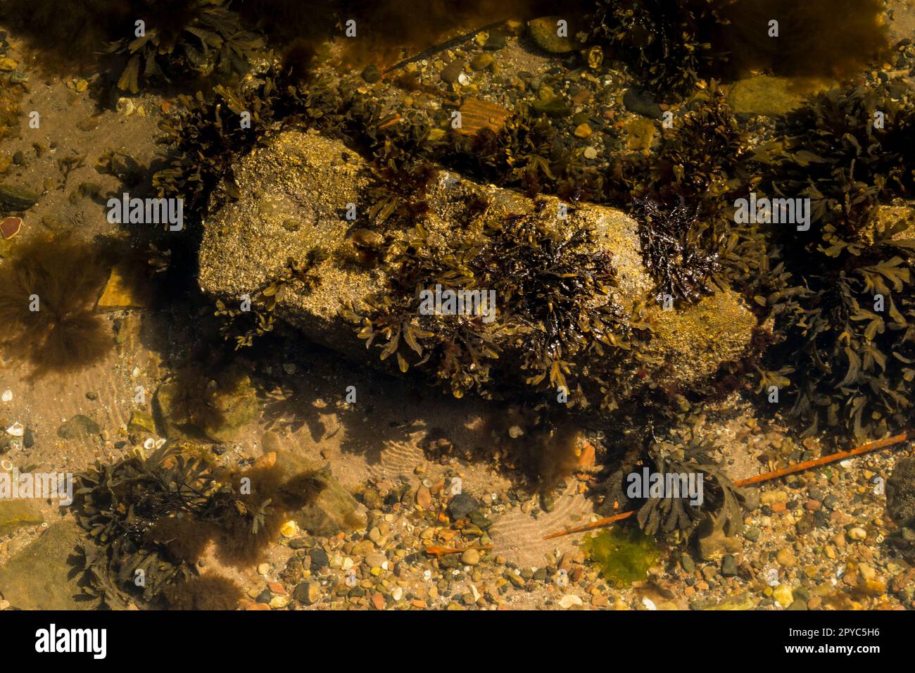 Millport Island West of Scotland Landmarks May 1st 2023 Stock Photo - Alamy