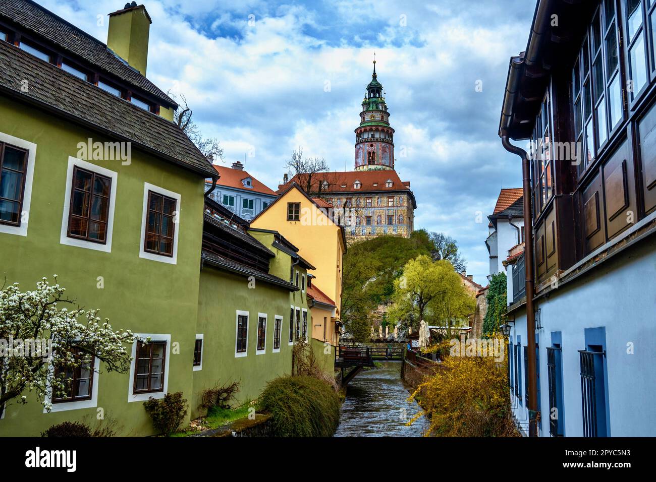 Colorful historical buildings in center of city Cesky Krumlov, small canal and blooming tree, church on background. Czech republic. Stock Photo