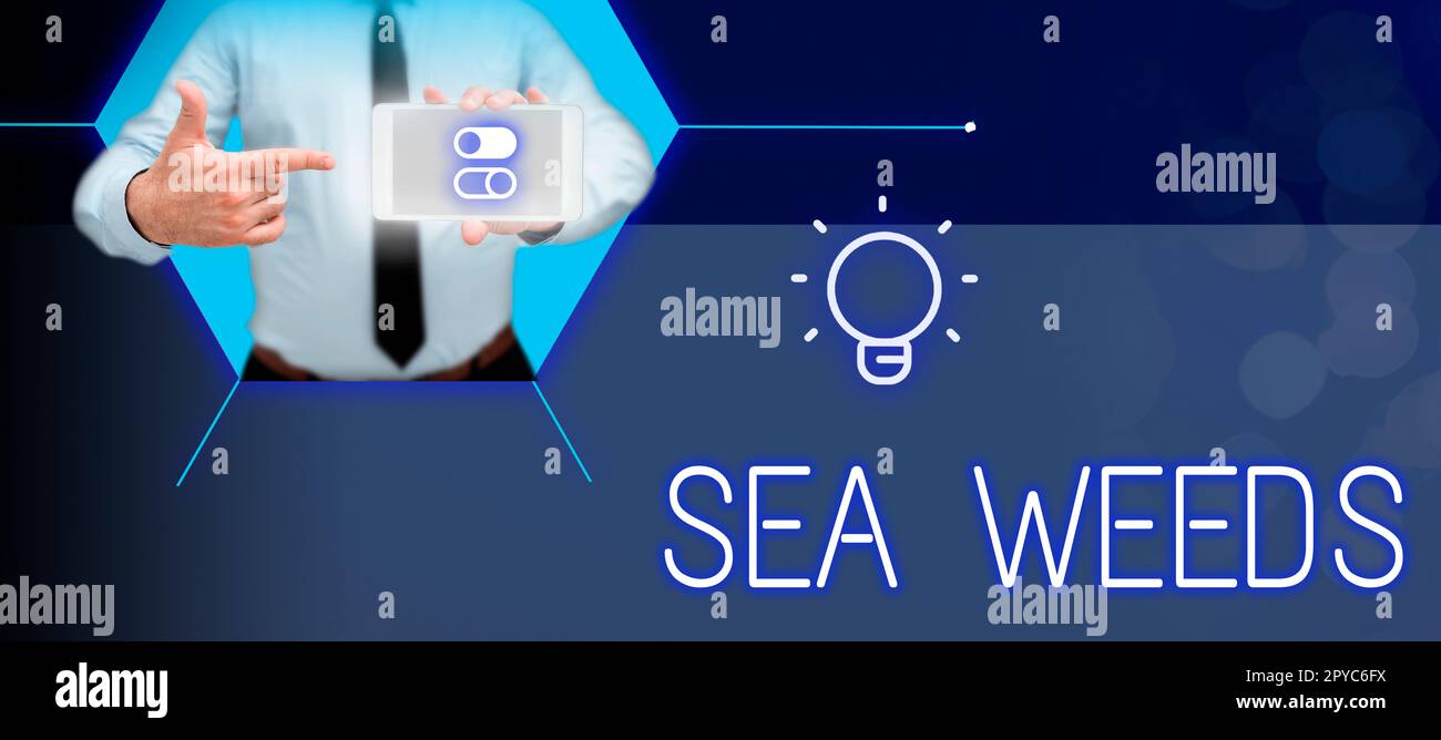 Sign displaying Sea Weeds. Business idea Large algae growing in the sea or ocean Marine plants flora Stock Photo